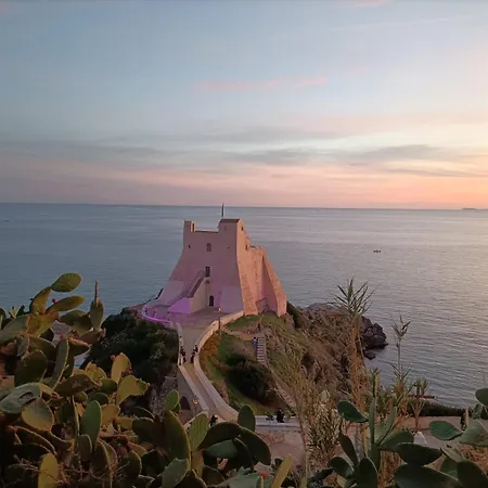 Casa Amel Centro Storico